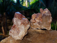 Natural Hematoid Quartz Clusters x 12 From Karoi, Zimbabwe