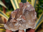 Natural Hematoid Quartz Clusters x 12 From Karoi, Zimbabwe - Toprock Gemstones and Minerals 