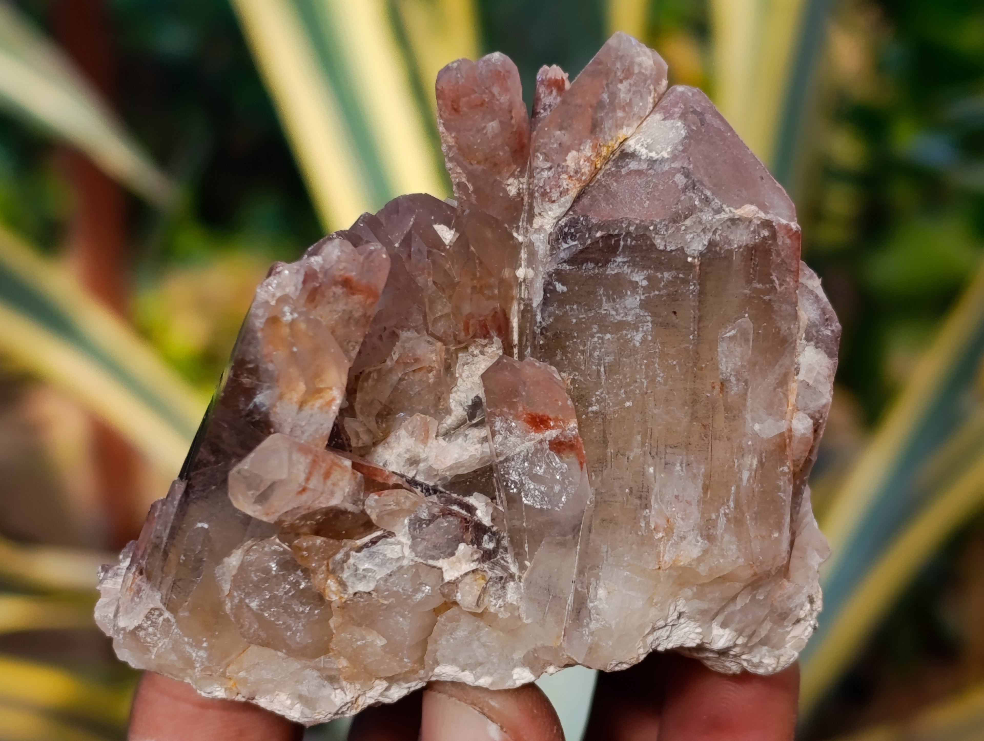 Natural Hematoid Quartz Clusters x 12 From Karoi, Zimbabwe - Toprock Gemstones and Minerals 