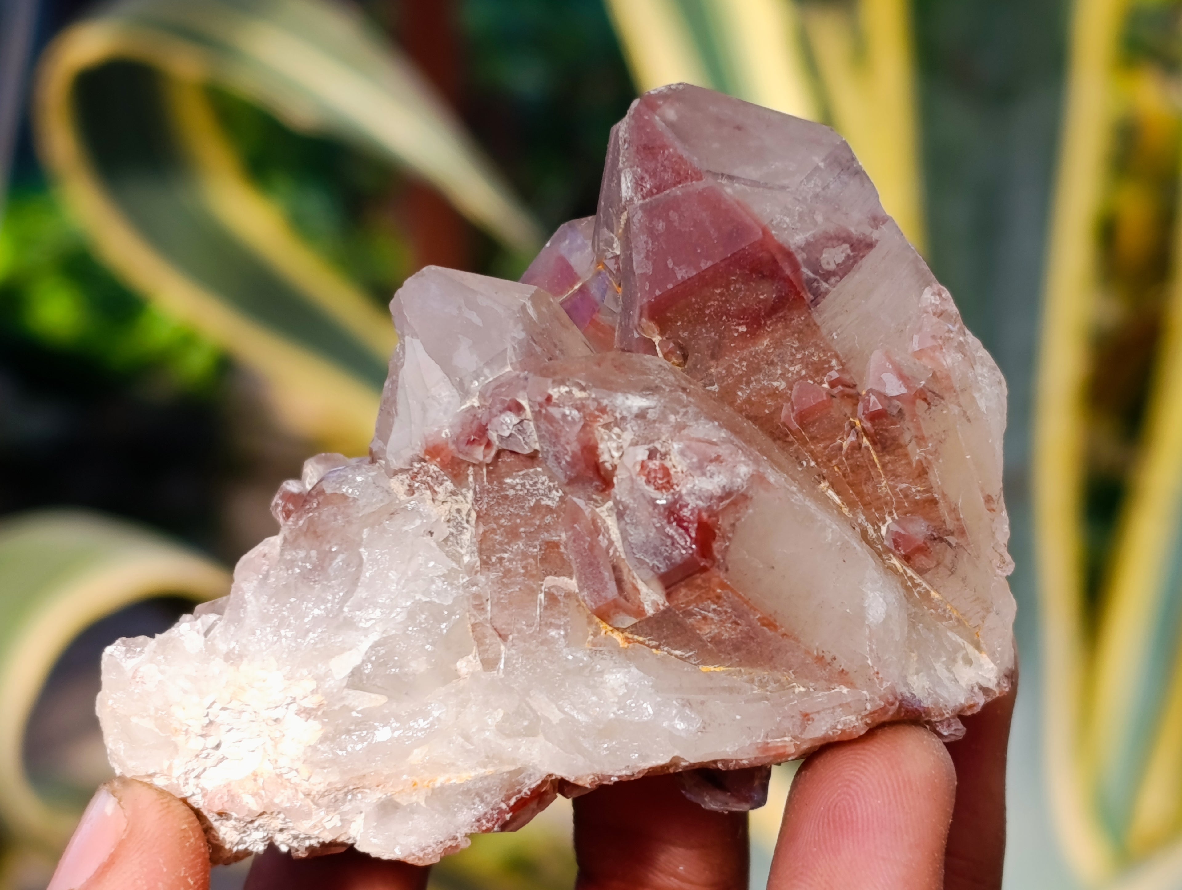 Natural Hematoid Quartz Clusters x 12 From Karoi, Zimbabwe - Toprock Gemstones and Minerals 