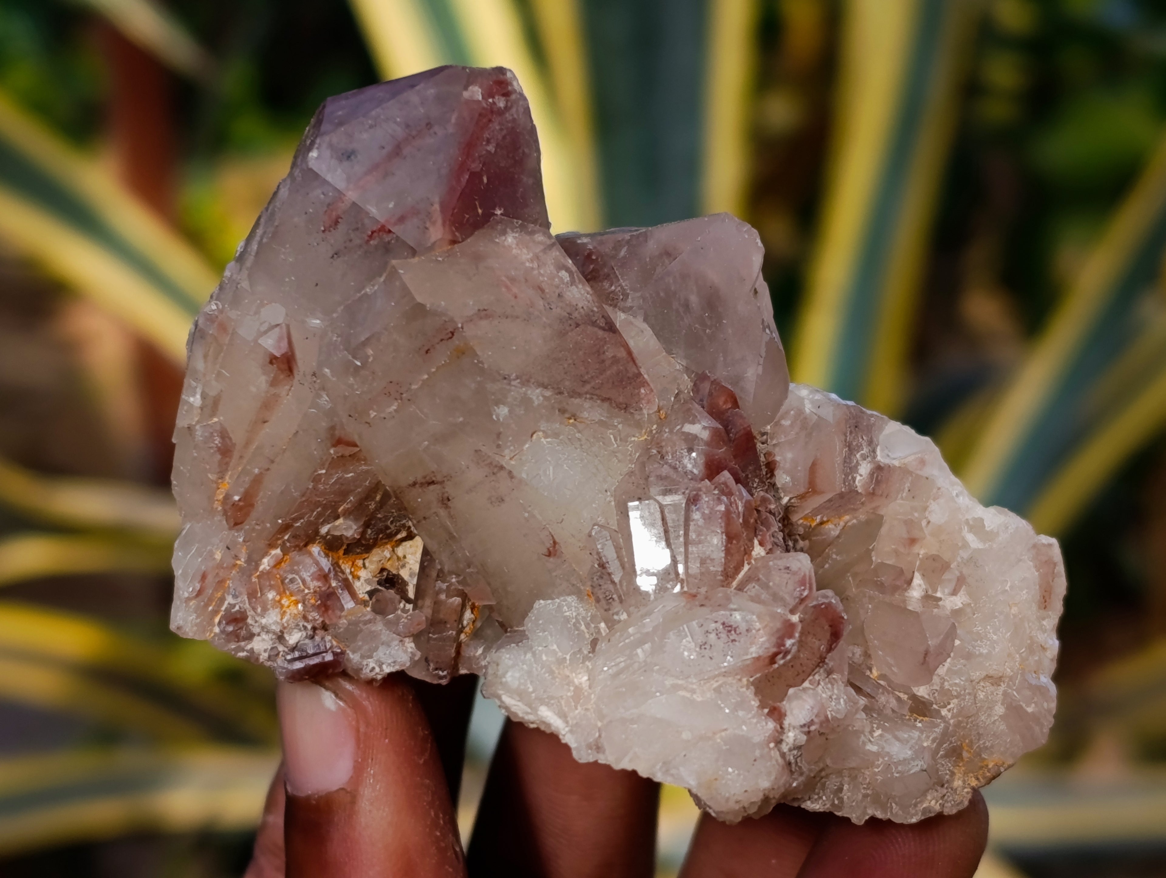 Natural Hematoid Quartz Clusters x 12 From Karoi, Zimbabwe - Toprock Gemstones and Minerals 