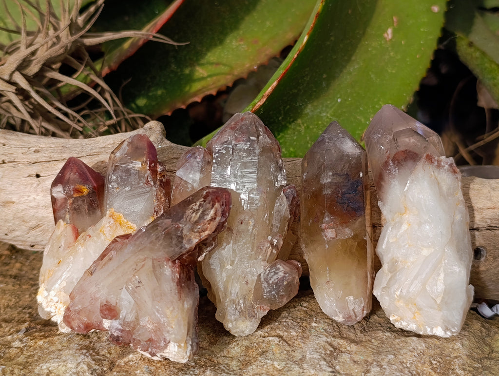 Natural Hematoid Quartz Clusters x 12 From Karoi, Zimbabwe - Toprock Gemstones and Minerals 