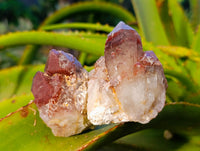 Natural Hematoid Quartz Clusters x 12 From Karoi, Zimbabwe