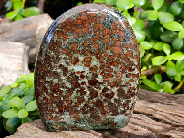 Polished Eclogite Standing Free Form x 2 From Northern Cape, South Africa