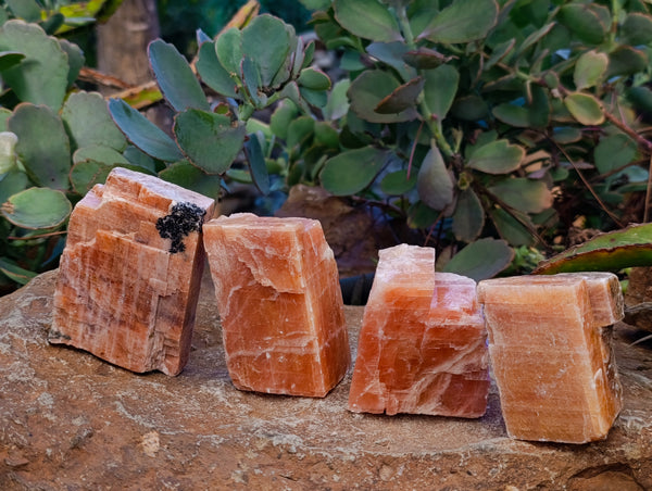 Natural Sunset Orange Calcite Specimens x 12 From Spitzkop, Namibia