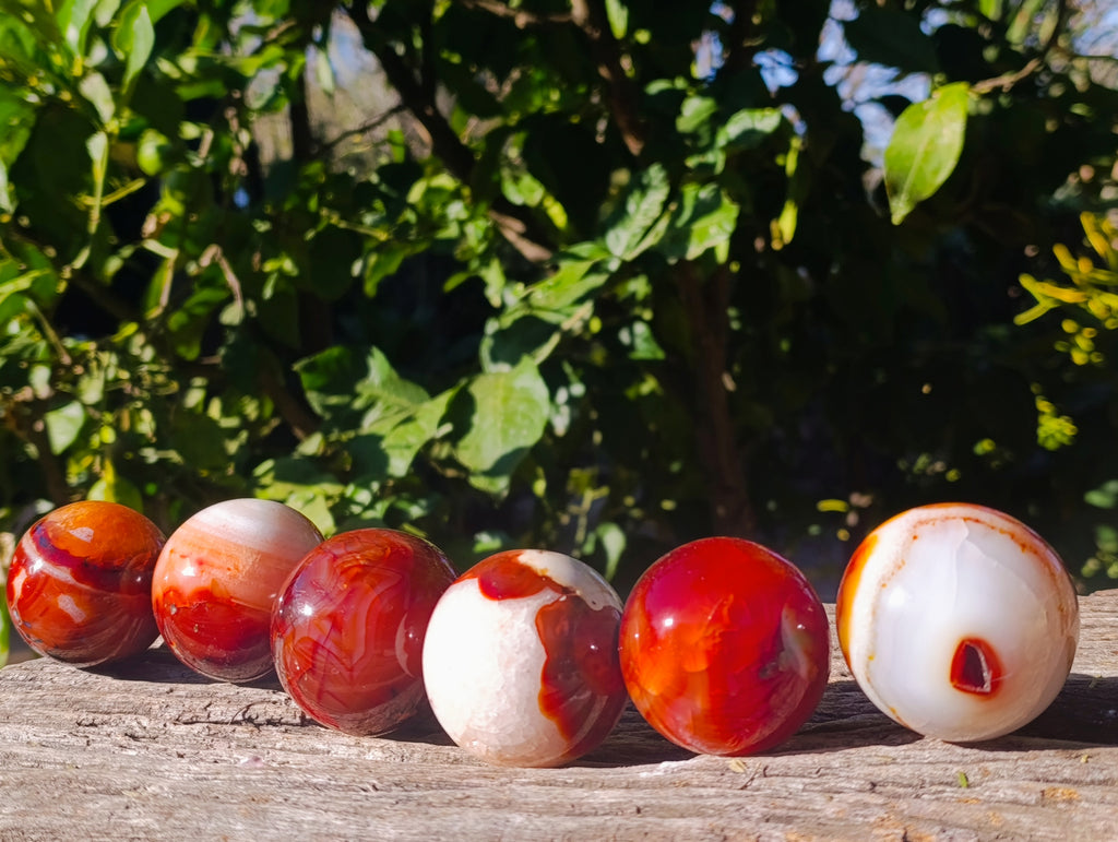 Polished Carnelian Agate Spheres x 6 From Madagascar - Toprock Gemstones and Minerals 
