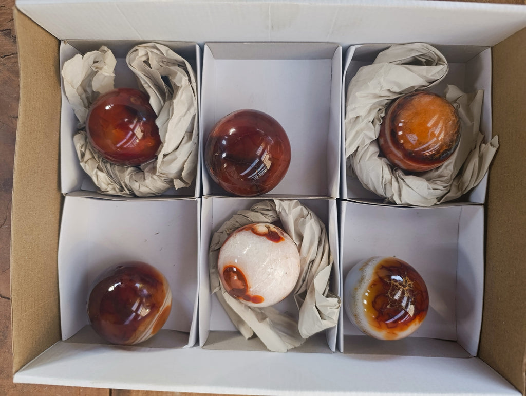 Polished Carnelian Agate Spheres x 6 From Madagascar - Toprock Gemstones and Minerals 