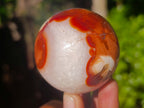 Polished Carnelian Agate Spheres x 6 From Madagascar - Toprock Gemstones and Minerals 