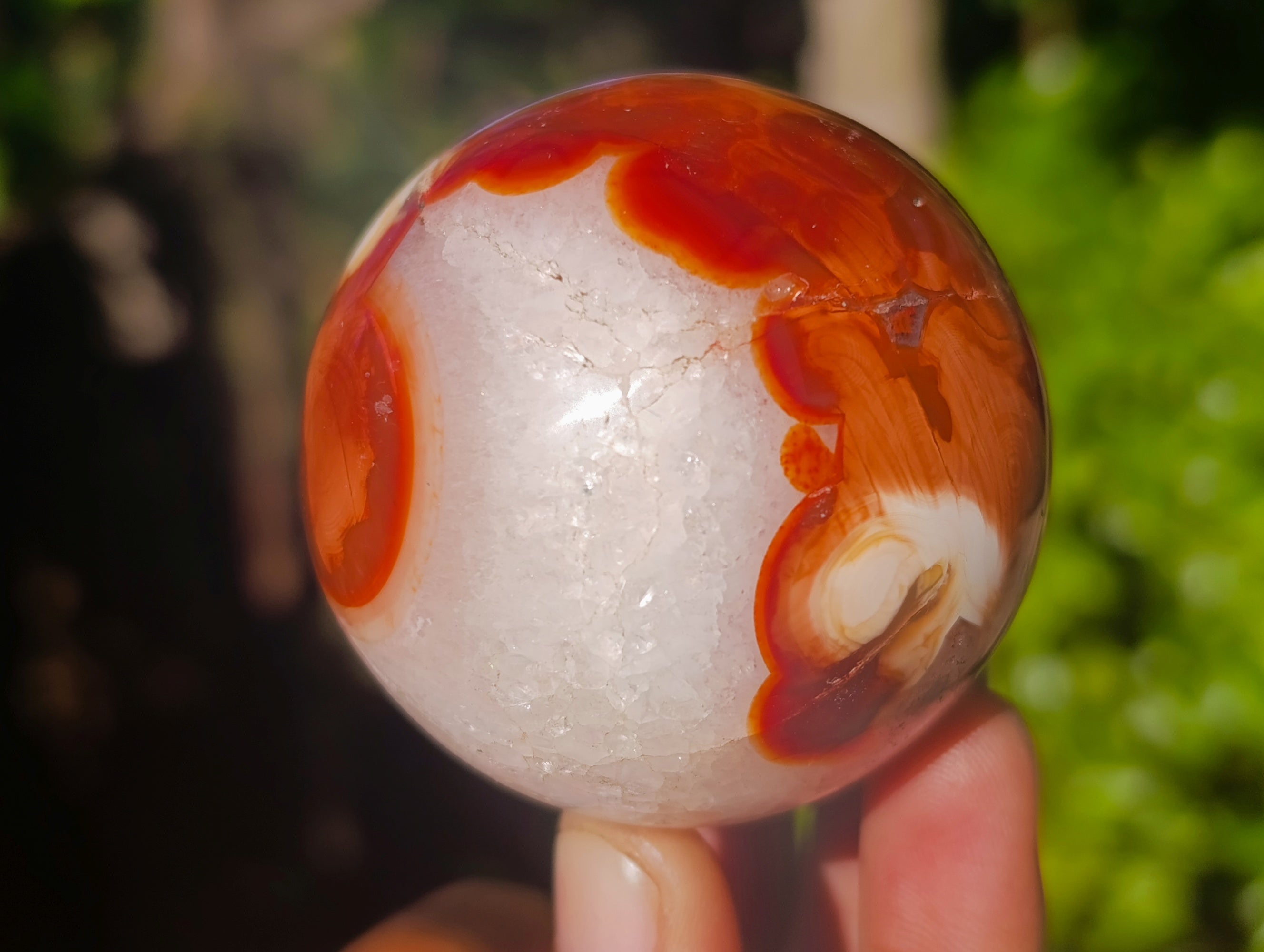 Polished Carnelian Agate Spheres x 6 From Madagascar - Toprock Gemstones and Minerals 