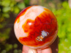 Polished Carnelian Agate Spheres x 6 From Madagascar - Toprock Gemstones and Minerals 