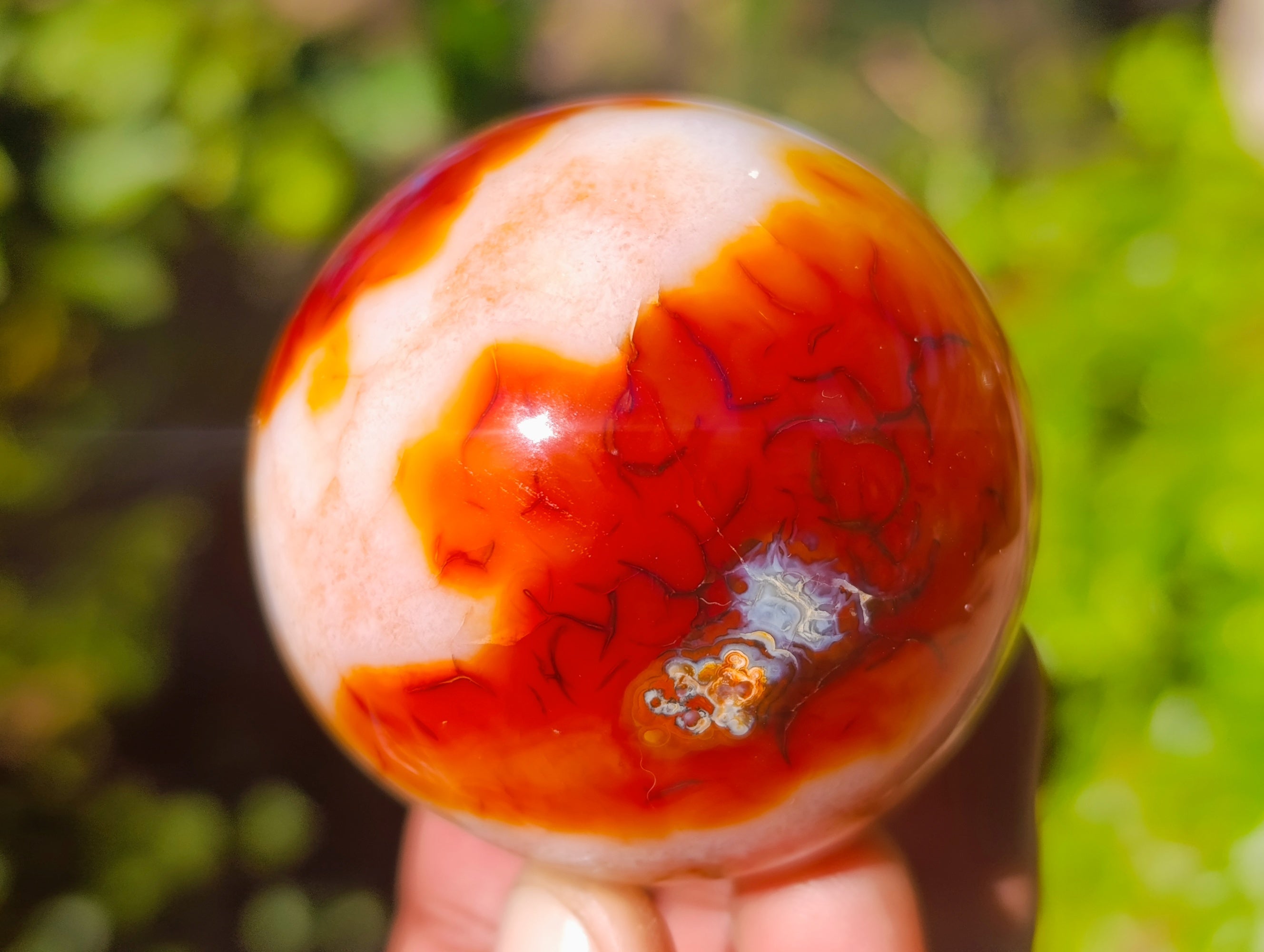 Polished Carnelian Agate Spheres x 6 From Madagascar - Toprock Gemstones and Minerals 