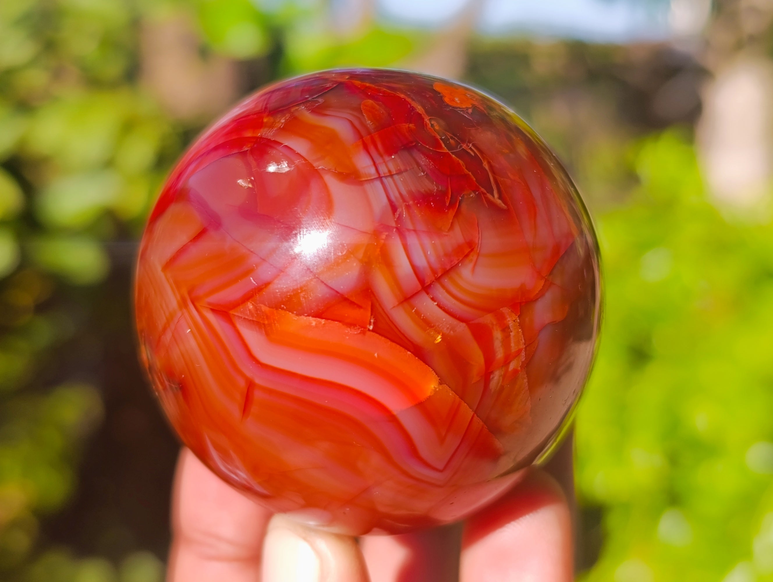 Polished Carnelian Agate Spheres x 6 From Madagascar - Toprock Gemstones and Minerals 