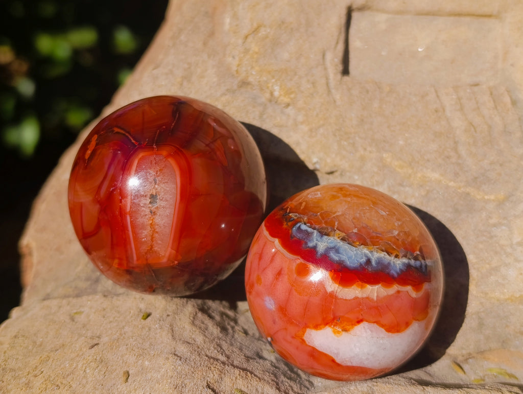 Polished Carnelian Agate Spheres x 6 From Madagascar - Toprock Gemstones and Minerals 