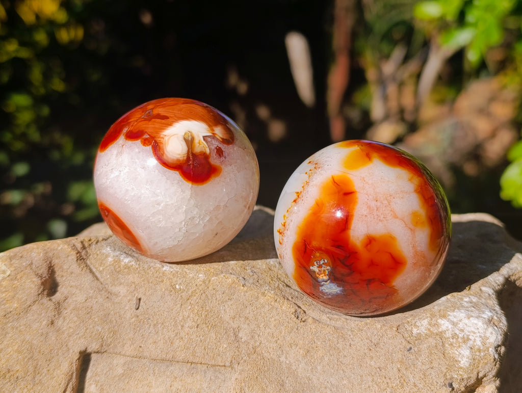 Polished Carnelian Agate Spheres x 6 From Madagascar - Toprock Gemstones and Minerals 