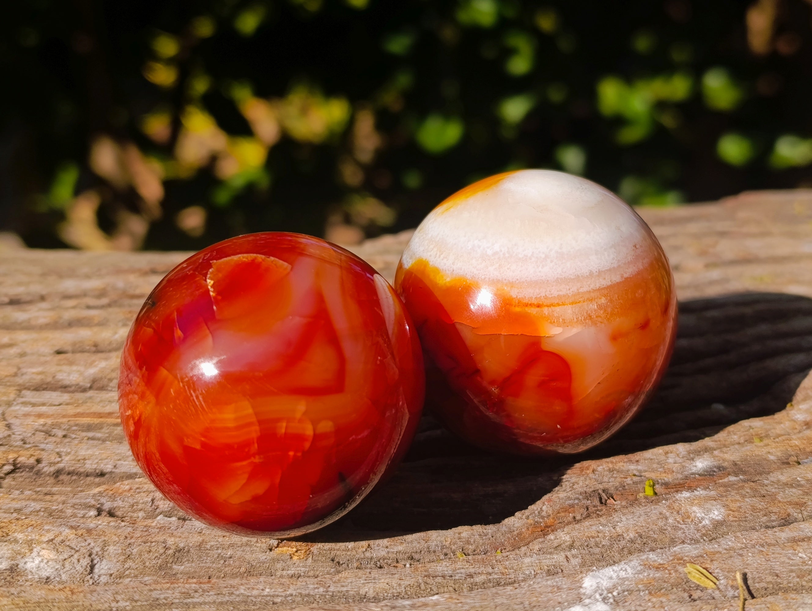 Polished Carnelian Agate Spheres x 6 From Madagascar - Toprock Gemstones and Minerals 