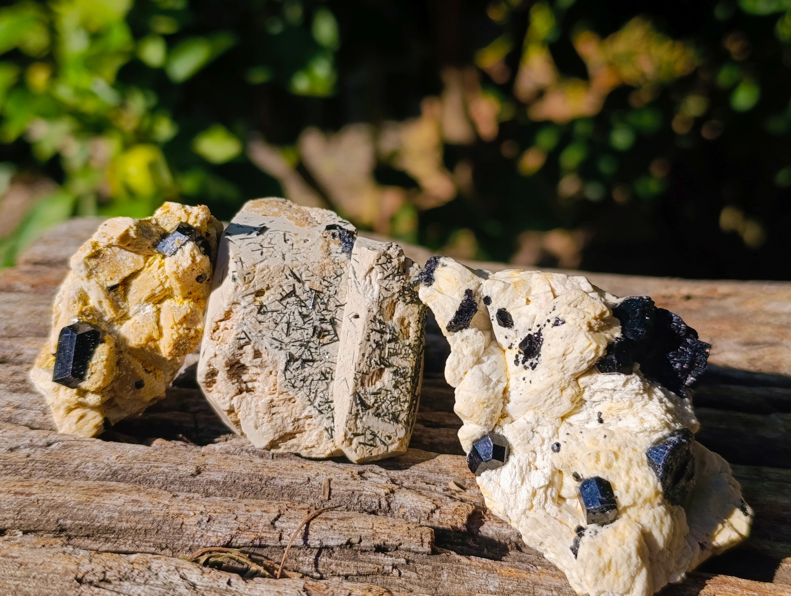 Natural Schorl Black Tourmaline on Orthoclase Matrix Clusters x 13 From Erongo, Namibia - Toprock Gemstones and Minerals 