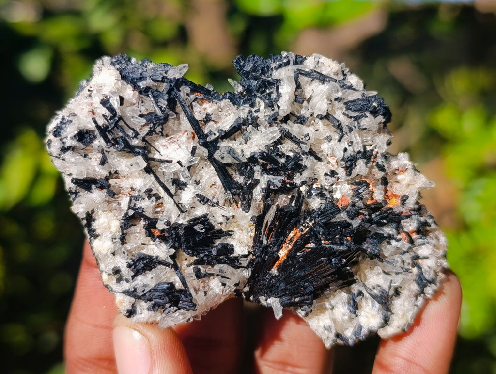 Natural Schorl Black Tourmaline on Orthoclase Matrix Clusters x 13 From Erongo, Namibia - Toprock Gemstones and Minerals 