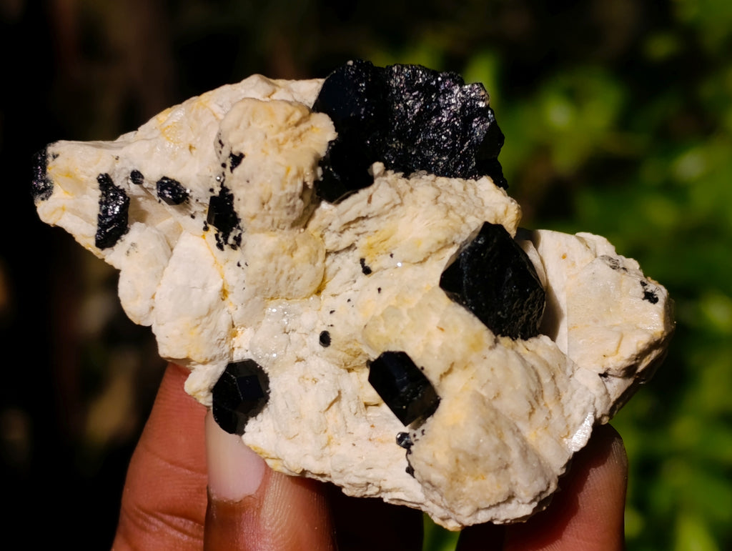 Natural Schorl Black Tourmaline on Orthoclase Matrix Clusters x 13 From Erongo, Namibia - Toprock Gemstones and Minerals 