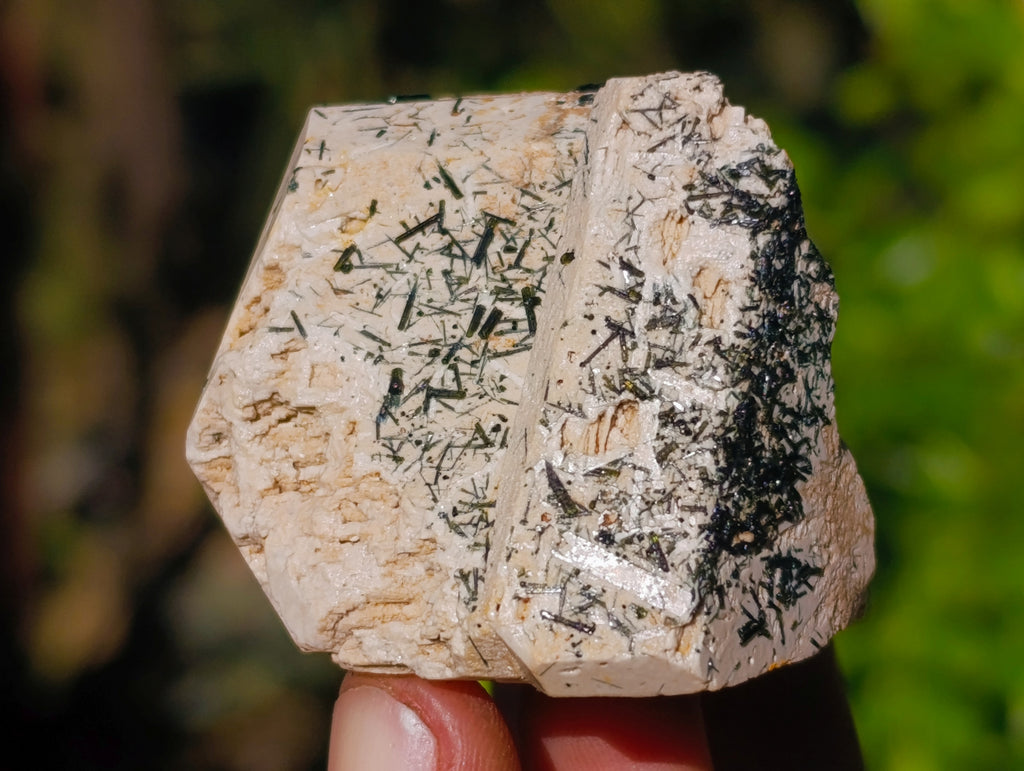 Natural Schorl Black Tourmaline on Orthoclase Matrix Clusters x 13 From Erongo, Namibia - Toprock Gemstones and Minerals 