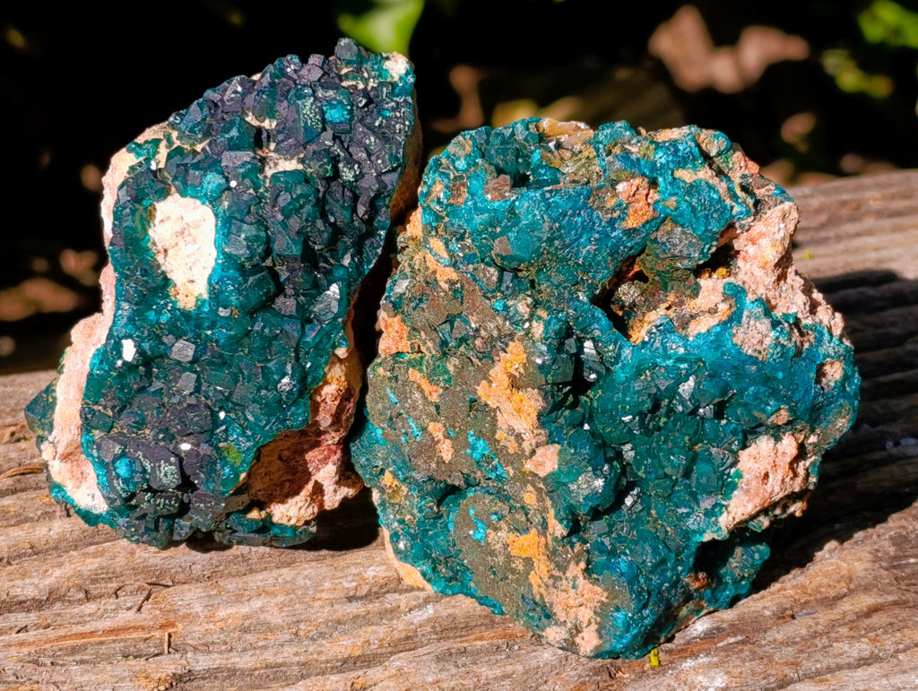 Natural Dioptase On Dolomite Specimens x 3 From Likasi, Congo - Toprock Gemstones and Minerals 