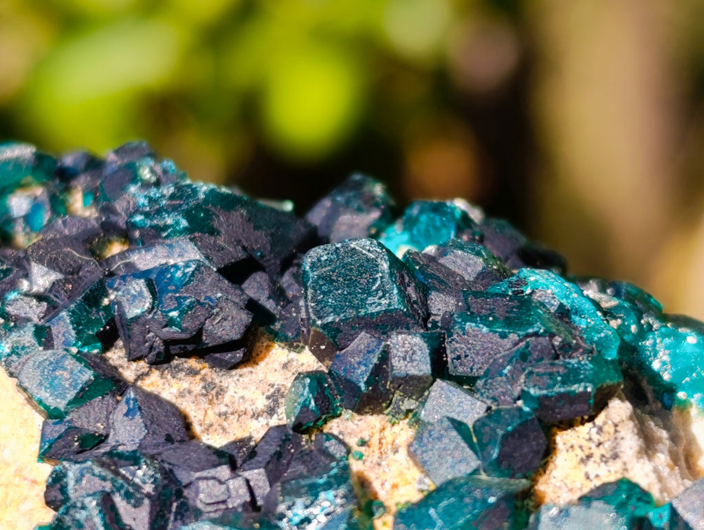 Natural Dioptase On Dolomite Specimens x 3 From Likasi, Congo - Toprock Gemstones and Minerals 