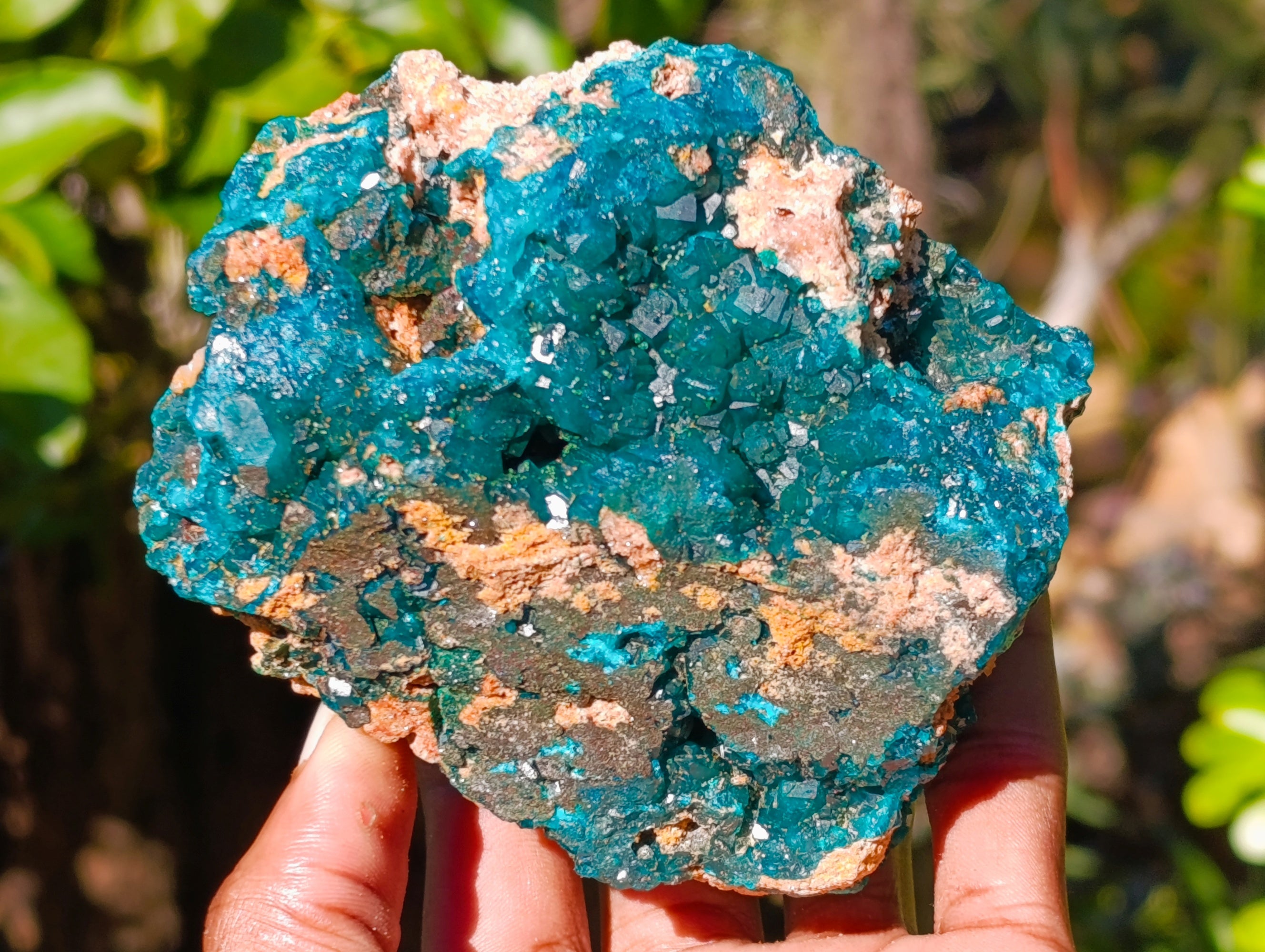 Natural Dioptase On Dolomite Specimens x 3 From Likasi, Congo - Toprock Gemstones and Minerals 