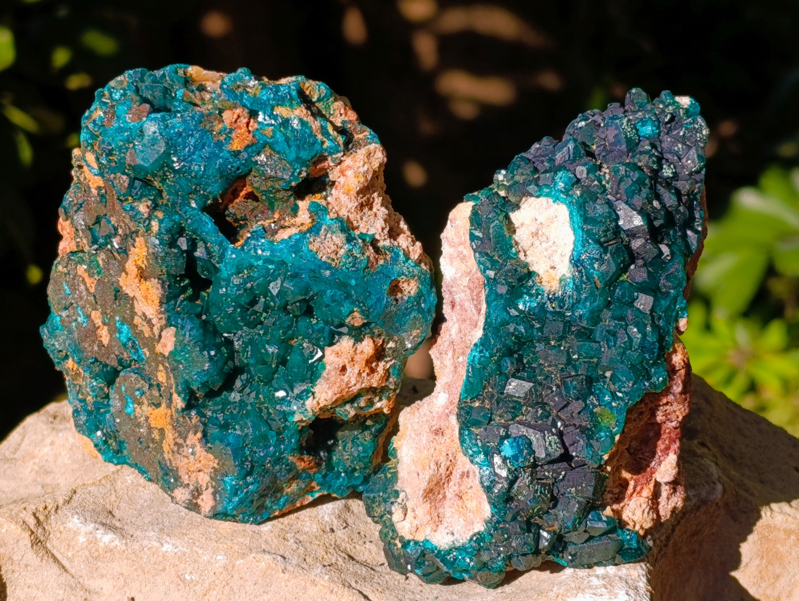 Natural Dioptase On Dolomite Specimens x 3 From Likasi, Congo - Toprock Gemstones and Minerals 