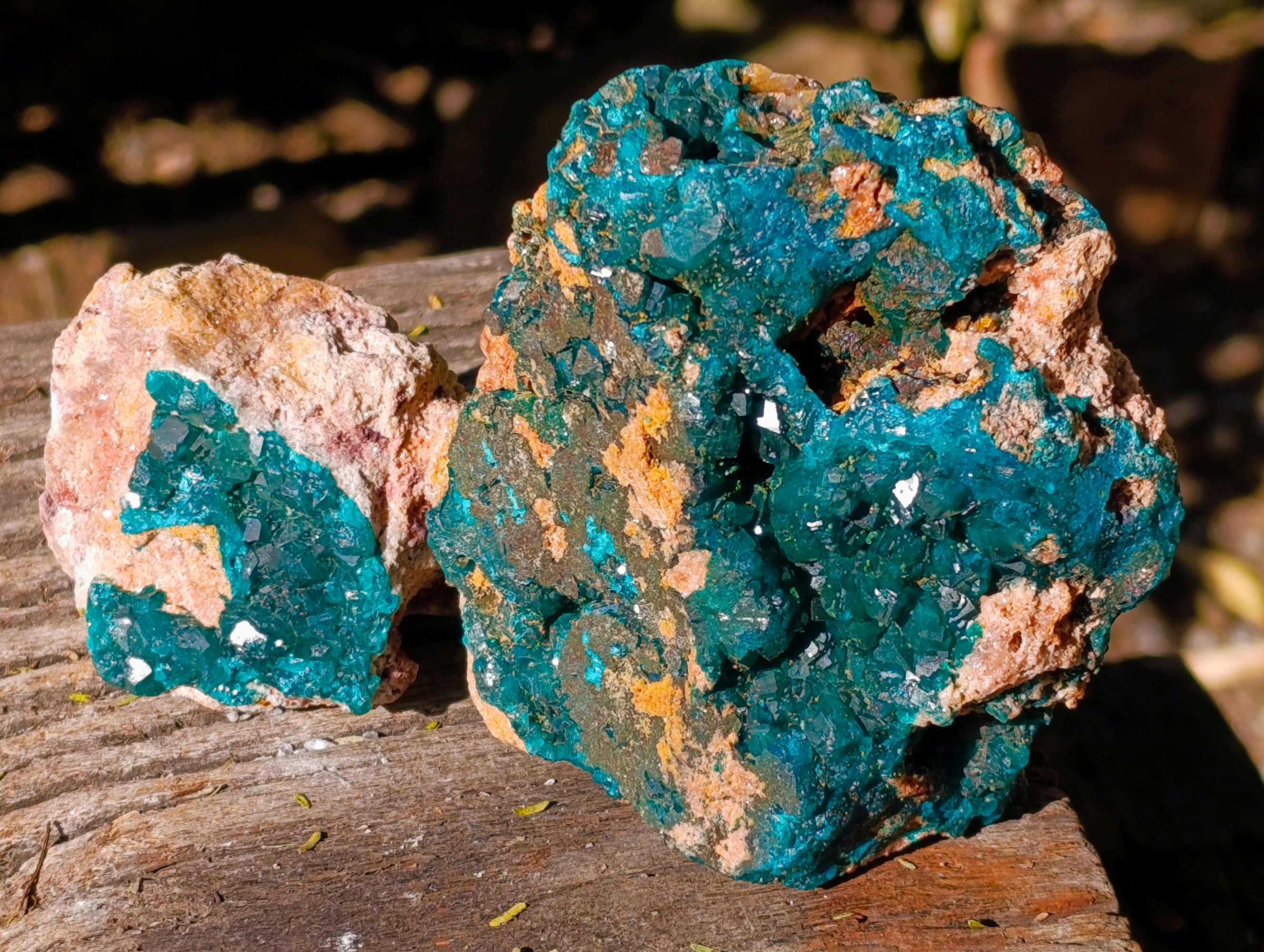 Natural Dioptase On Dolomite Specimens x 3 From Likasi, Congo - Toprock Gemstones and Minerals 