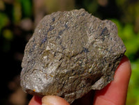 Natural Rare Pharaoh Stone Pyrite Cobbed Specimens x 20 Iron Duke Mine, Zimbabwe