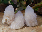 Natural White Cactus Spirit Quartz Clusters x 24 From South Africa - Toprock Gemstones and Minerals 