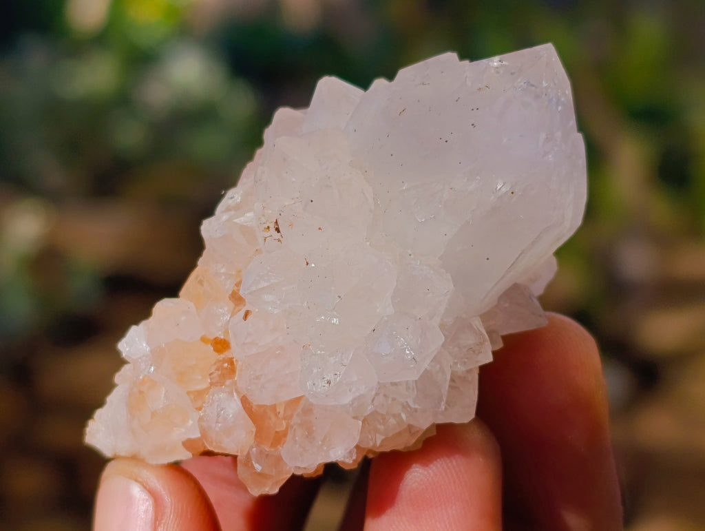 Natural White Cactus Spirit Quartz Clusters x 24 From South Africa - Toprock Gemstones and Minerals 