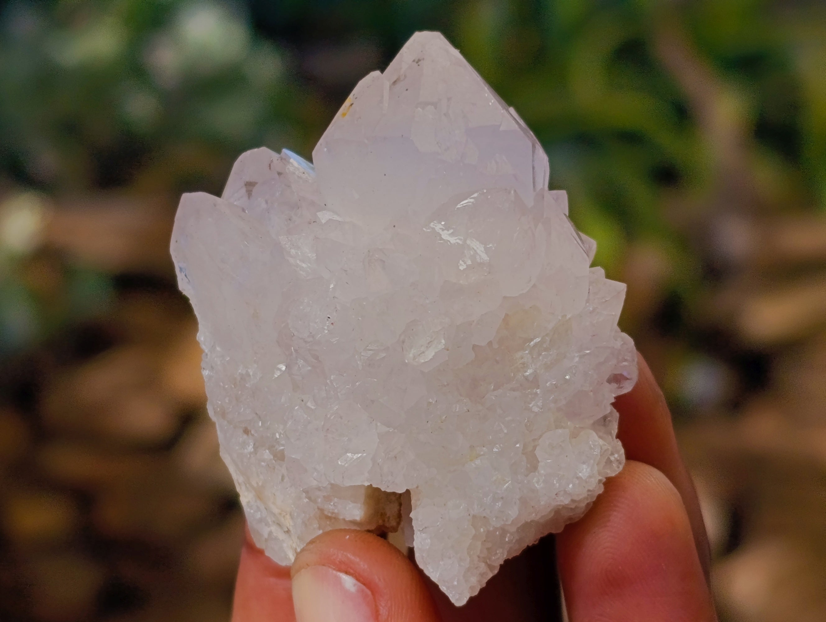 Natural White Cactus Spirit Quartz Clusters x 24 From South Africa - Toprock Gemstones and Minerals 