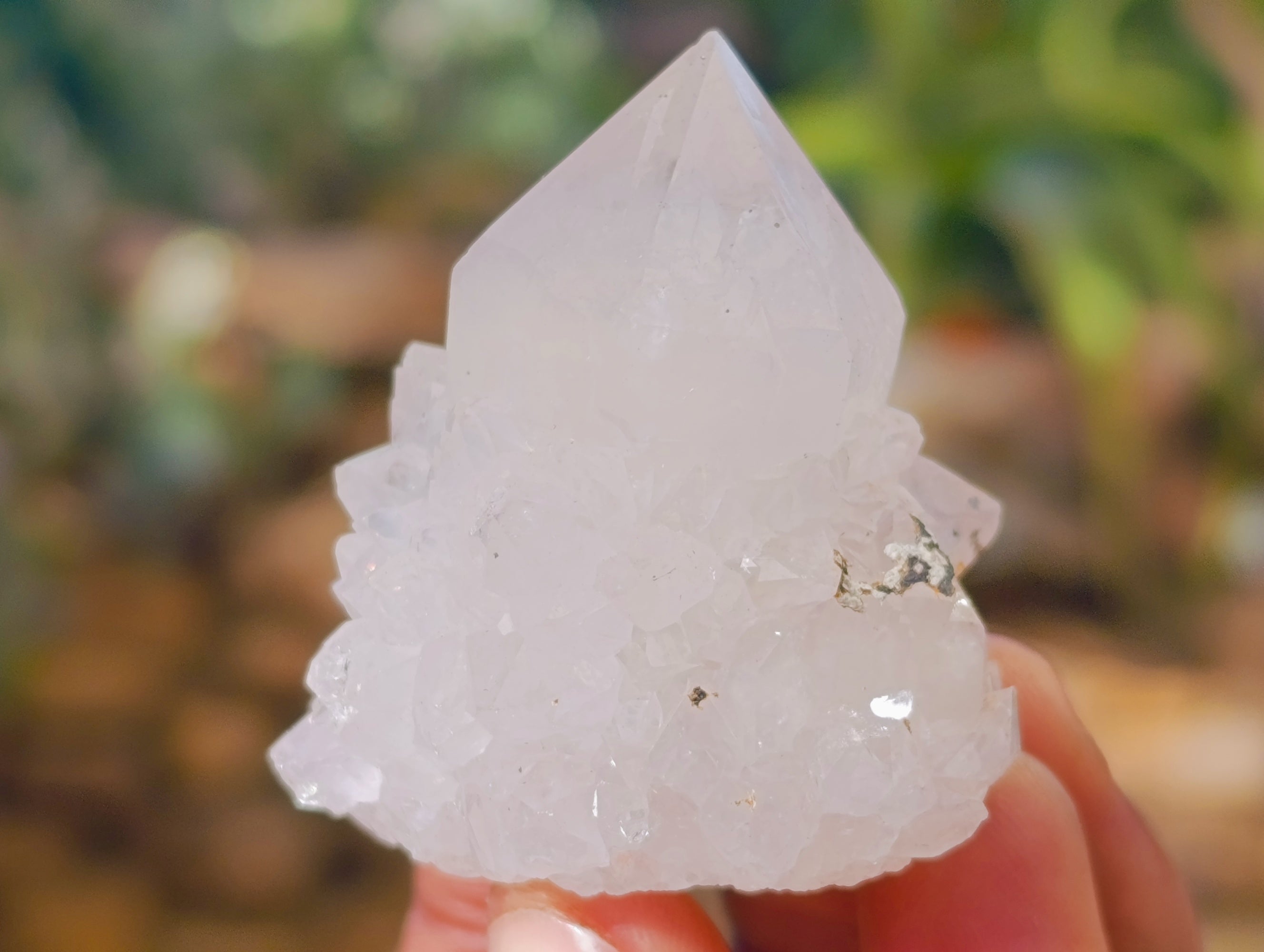 Natural White Cactus Spirit Quartz Clusters x 24 From South Africa - Toprock Gemstones and Minerals 