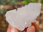 Natural White Cactus Spirit Quartz Clusters x 24 From South Africa - Toprock Gemstones and Minerals 