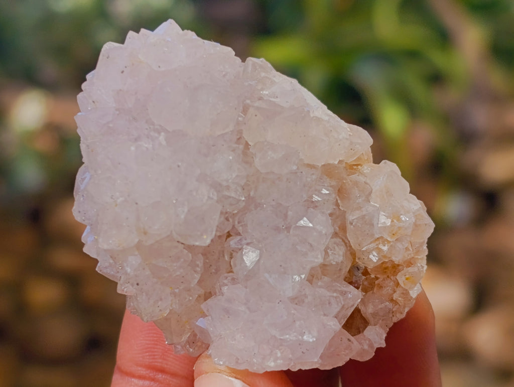 Natural White Cactus Spirit Quartz Clusters x 24 From South Africa - Toprock Gemstones and Minerals 