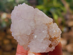 Natural White Cactus Spirit Quartz Clusters x 24 From South Africa - Toprock Gemstones and Minerals 