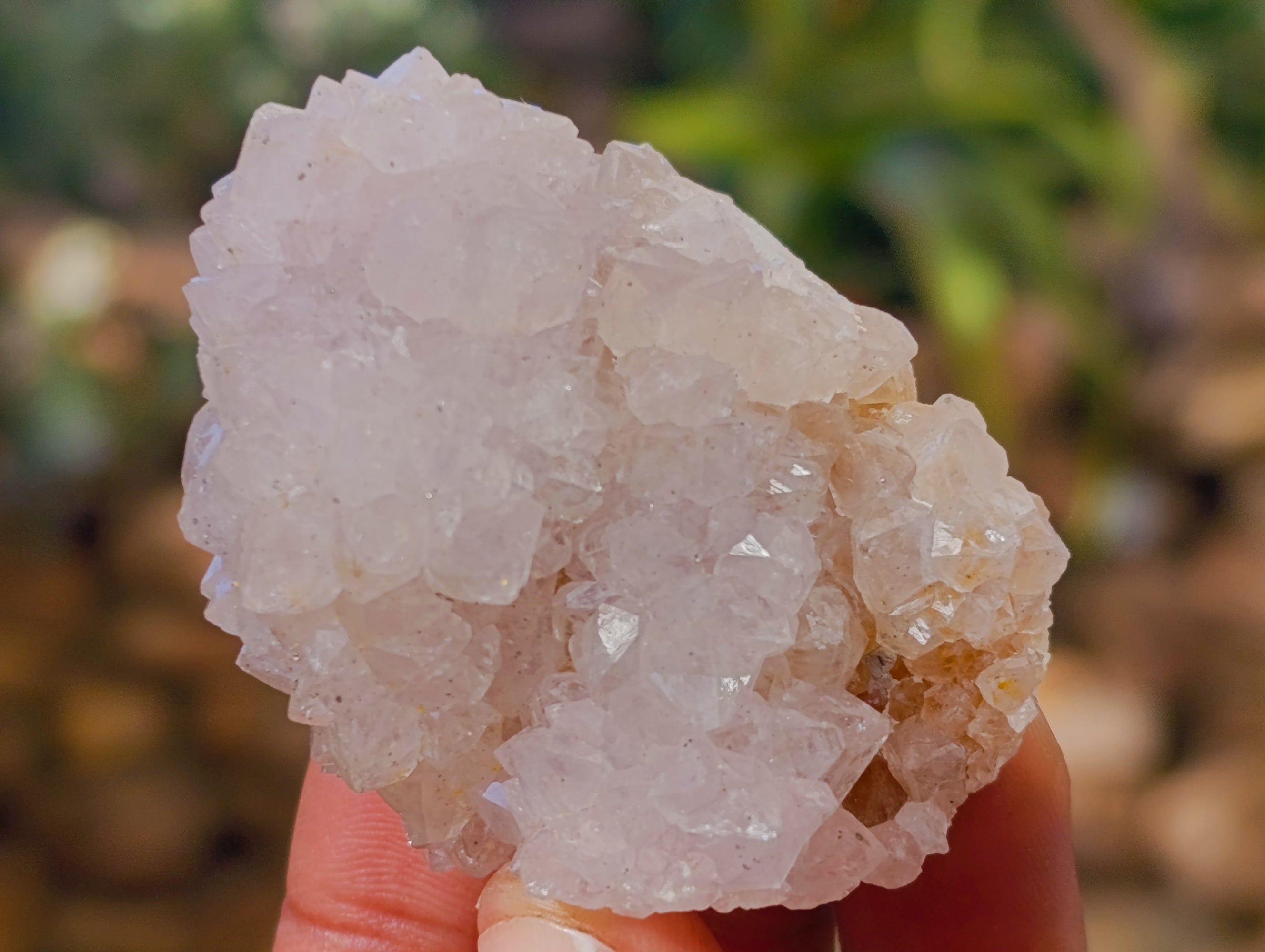 Natural White Cactus Spirit Quartz Clusters x 24 From South Africa - Toprock Gemstones and Minerals 