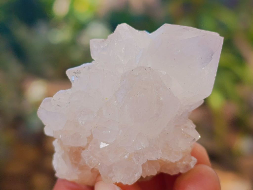 Natural White Cactus Spirit Quartz Clusters x 24 From South Africa - Toprock Gemstones and Minerals 