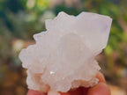 Natural White Cactus Spirit Quartz Clusters x 24 From South Africa - Toprock Gemstones and Minerals 