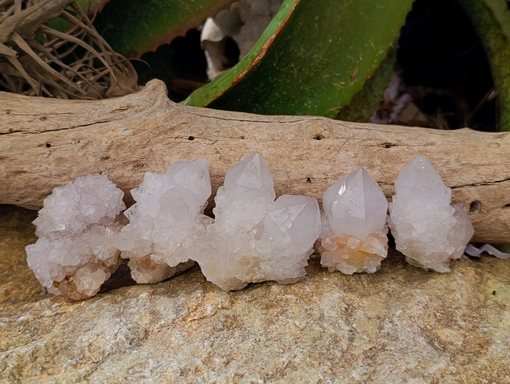 Natural White Cactus Spirit Quartz Clusters x 24 From South Africa - Toprock Gemstones and Minerals 