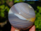 Polished Banded Agate Spheres x 4 From Madagascar - Toprock Gemstones and Minerals 