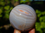 Polished Banded Agate Spheres x 4 From Madagascar - Toprock Gemstones and Minerals 