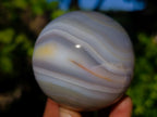 Polished Banded Agate Spheres x 4 From Madagascar - Toprock Gemstones and Minerals 