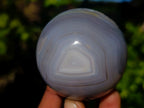 Polished Banded Agate Spheres x 4 From Madagascar - Toprock Gemstones and Minerals 