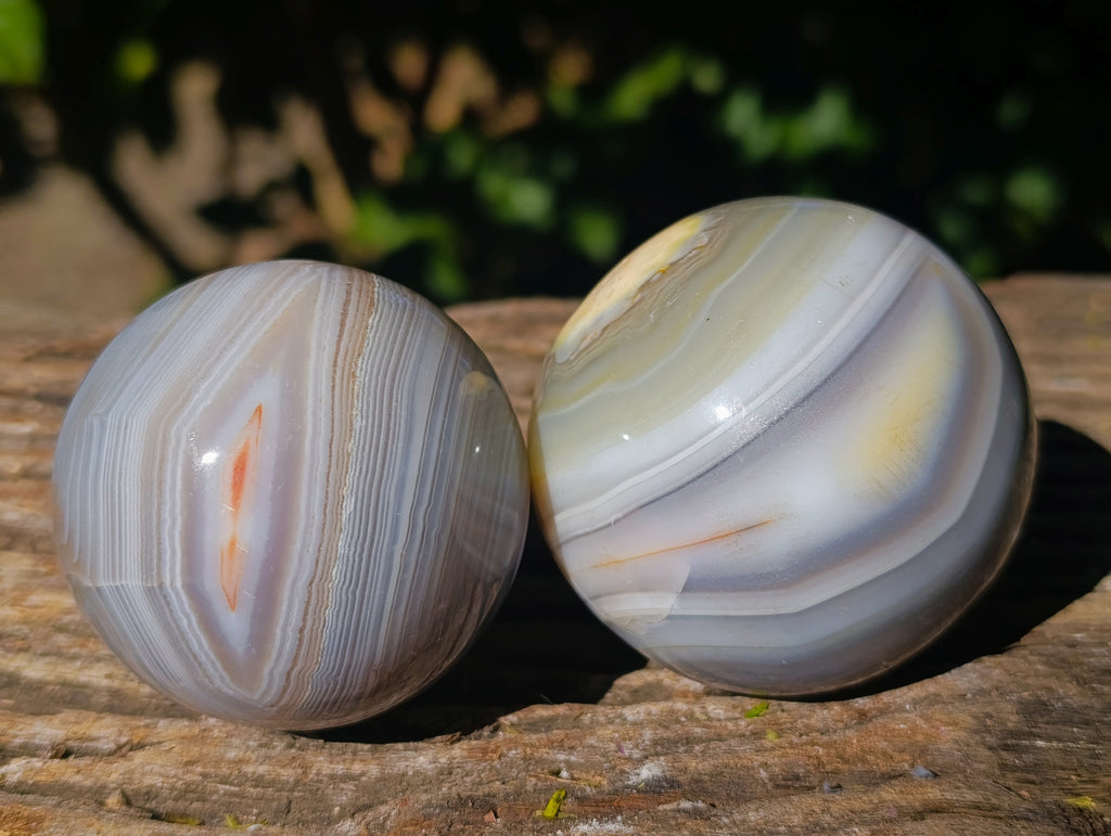 Polished Banded Agate Spheres x 4 From Madagascar - Toprock Gemstones and Minerals 