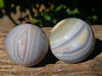 Polished Banded Agate Spheres x 4 From Madagascar - Toprock Gemstones and Minerals 