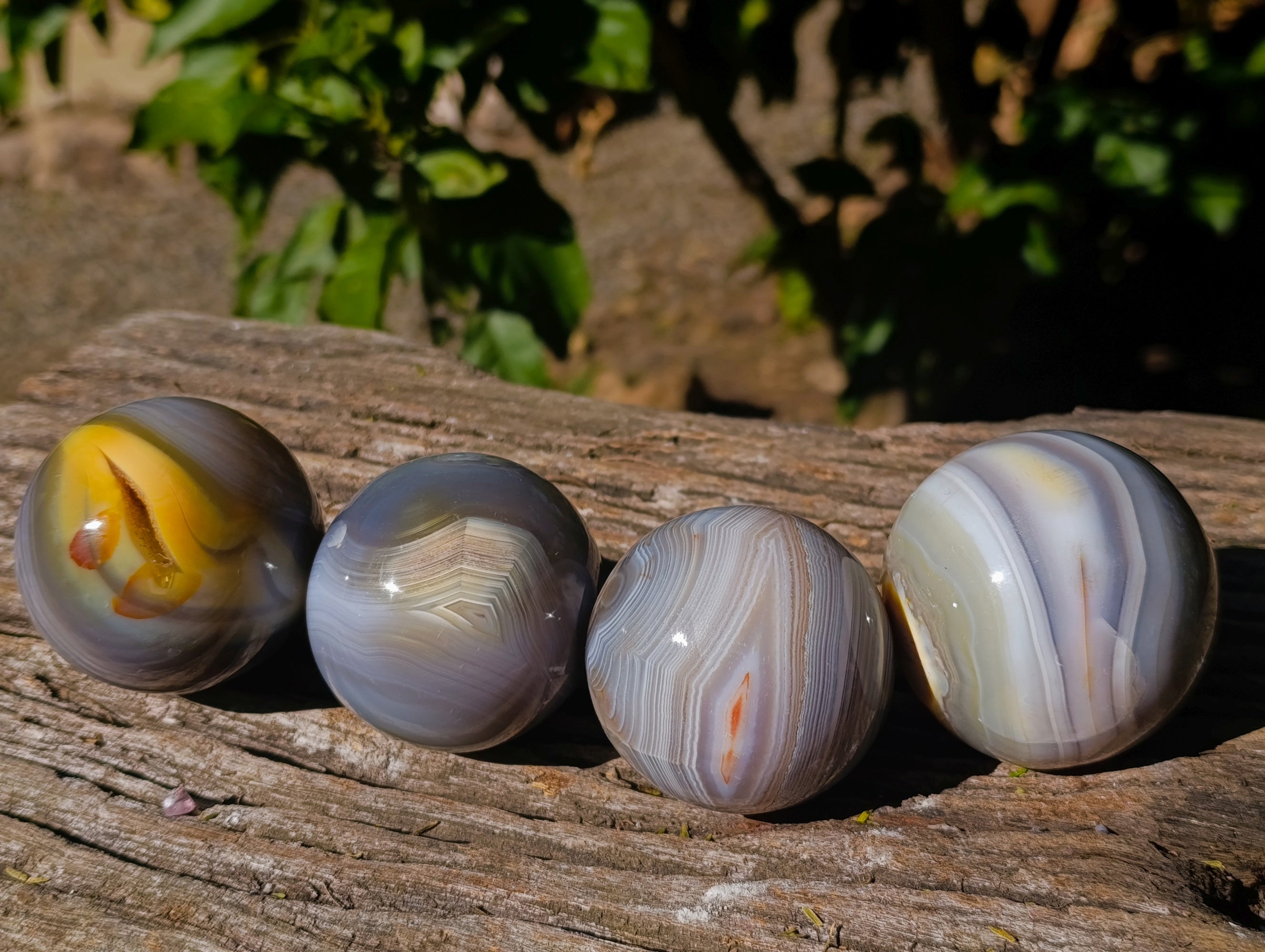 Polished Banded Agate Spheres x 4 From Madagascar - Toprock Gemstones and Minerals 