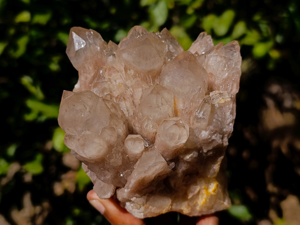 Natural Smokey Phantom Quartz Cluster x 2 From Luena, Congo - Toprock Gemstones and Minerals 