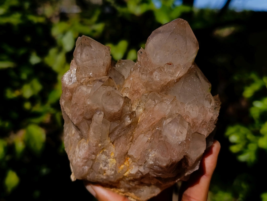 Natural Smokey Phantom Quartz Cluster x 2 From Luena, Congo - Toprock Gemstones and Minerals 