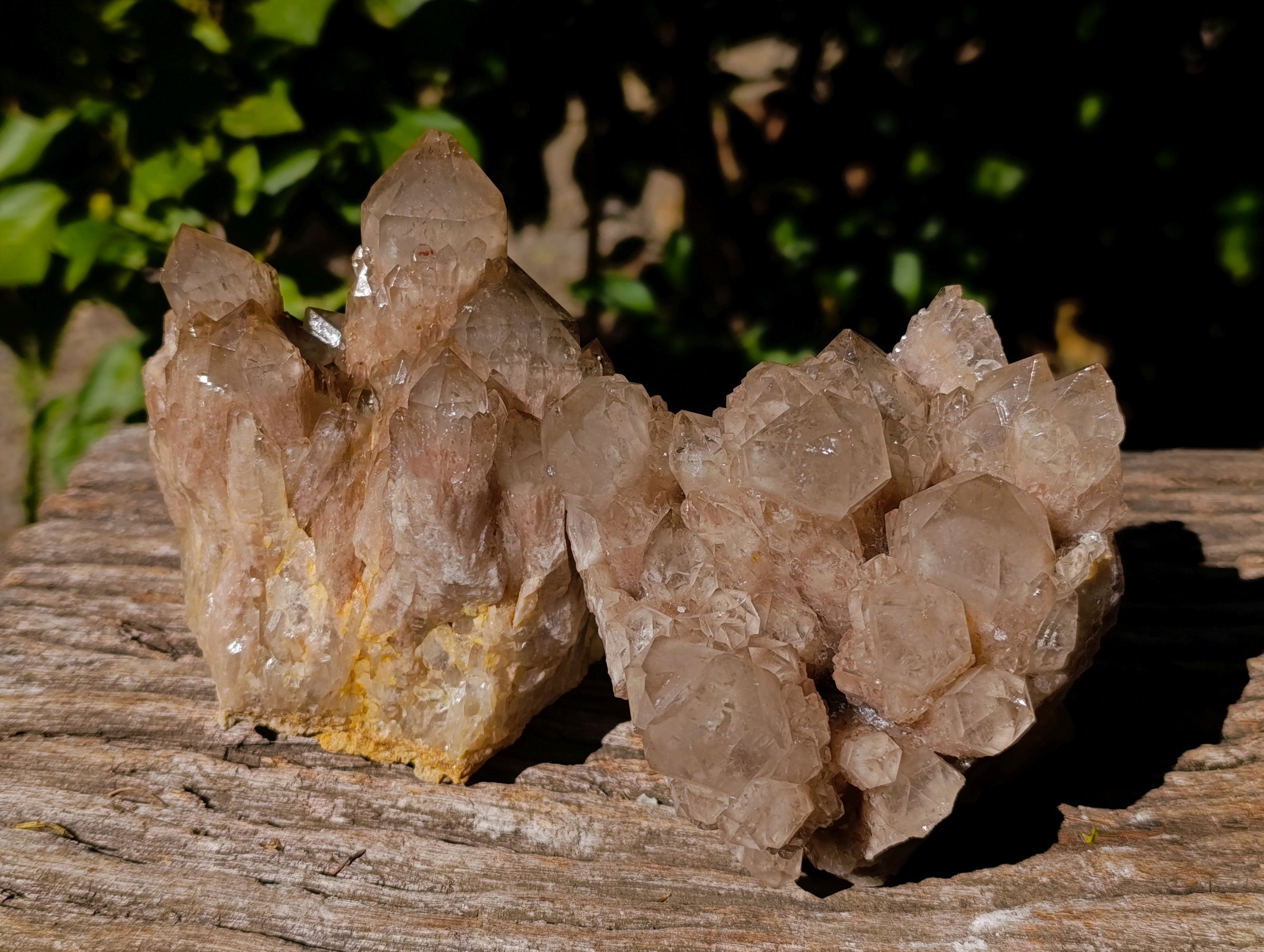 Natural Smokey Phantom Quartz Cluster x 2 From Luena, Congo - Toprock Gemstones and Minerals 